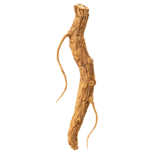 Pichwai ashwagandha