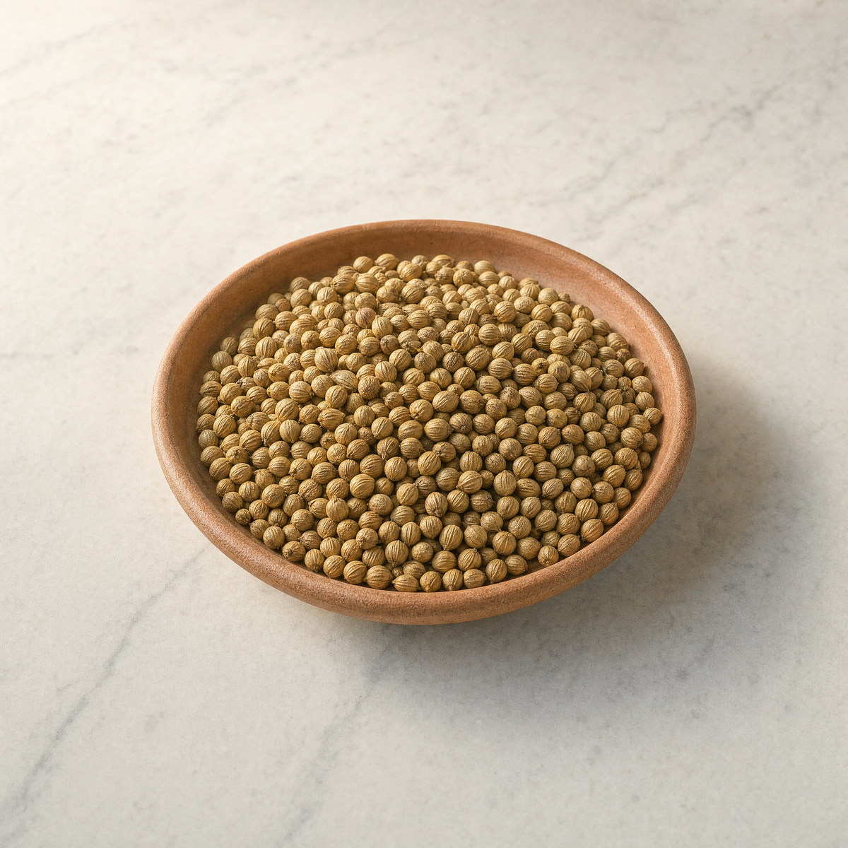 Coriander