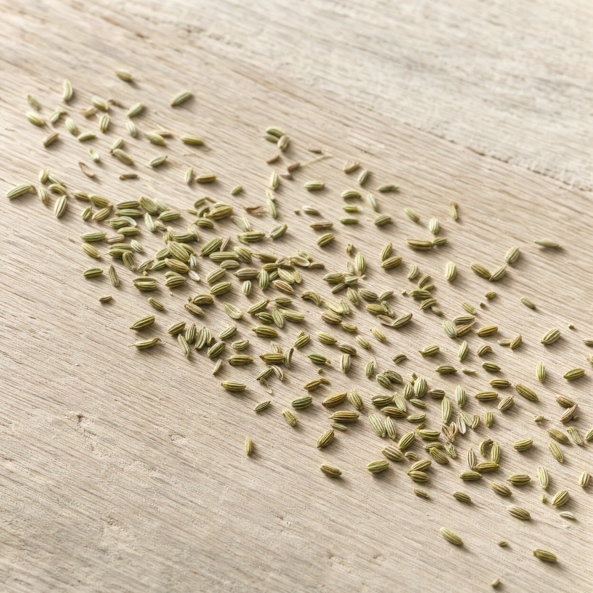 Fennel