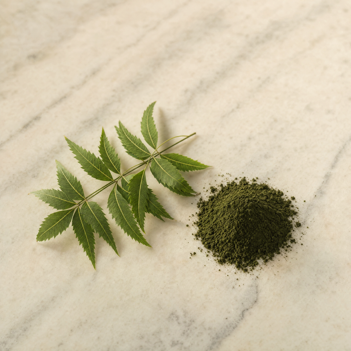 Neem